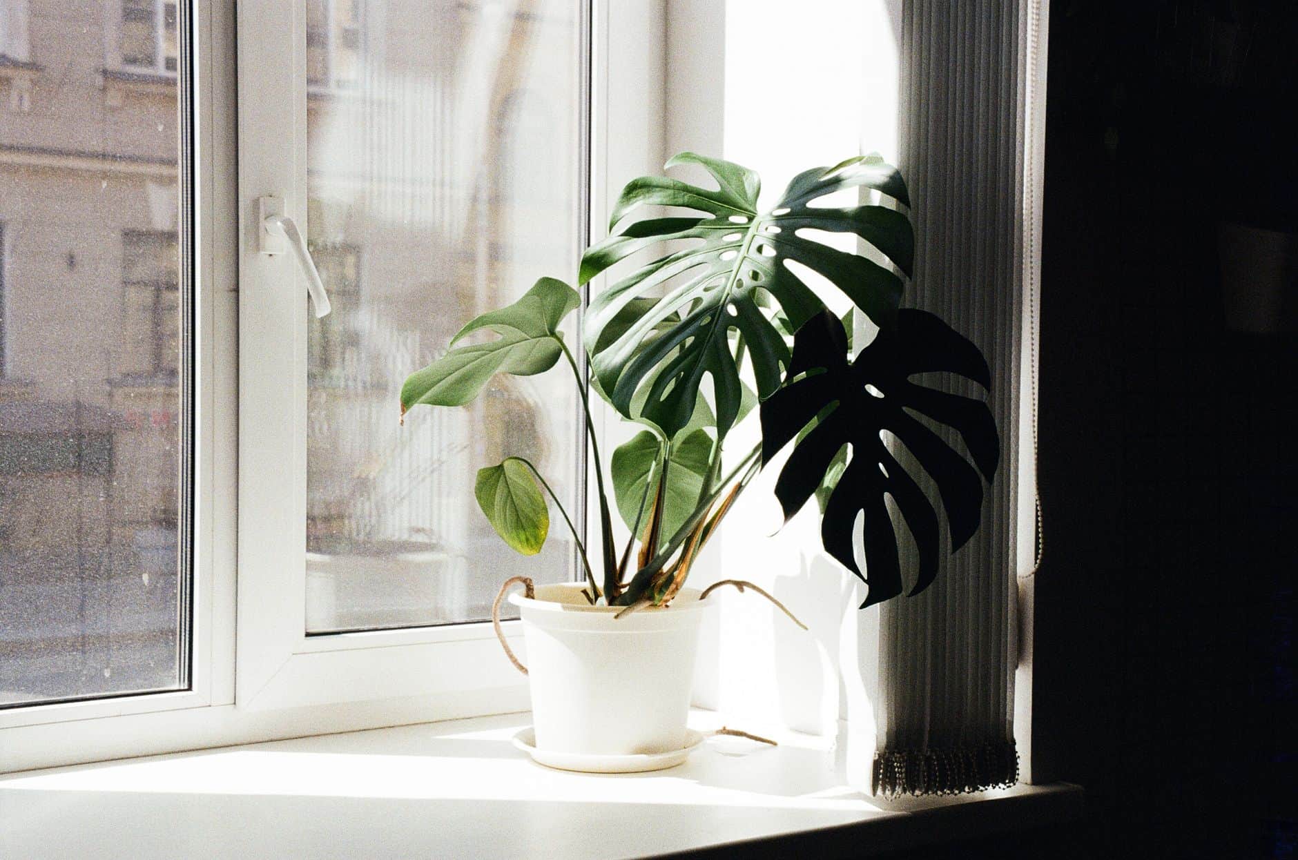 Indoor Air Quality With AC Running: What to Monitor in Koh Samui Homes